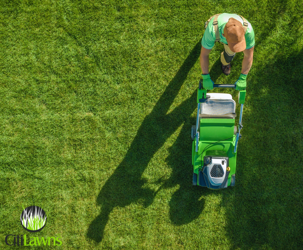 lawn care service in Redding, CA
