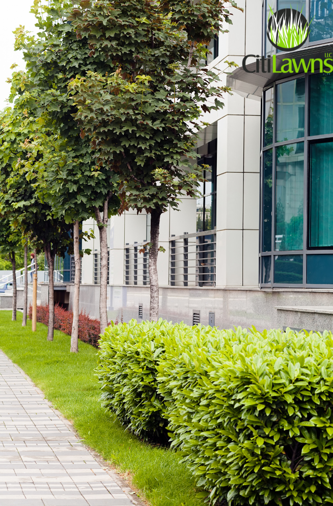 Commercial Landscaping in Redding, CA